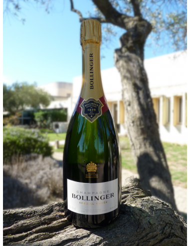 BOLLINGER CHAMPAGNE SPECIAL CUVEE 75CL
