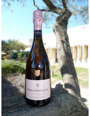 PHILIPPONNAT RESERVE ROSE