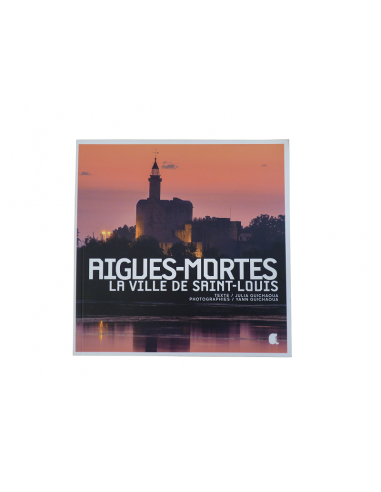 CALVIN AIGUES MORTES VILLE SAINT LOUIS