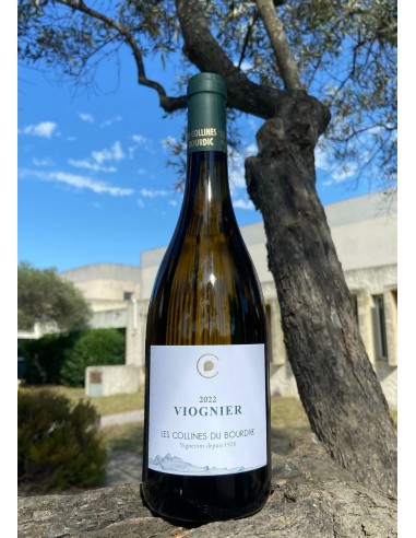 BOURDIC VIOGNIER BLC PAYS D'OC IGP